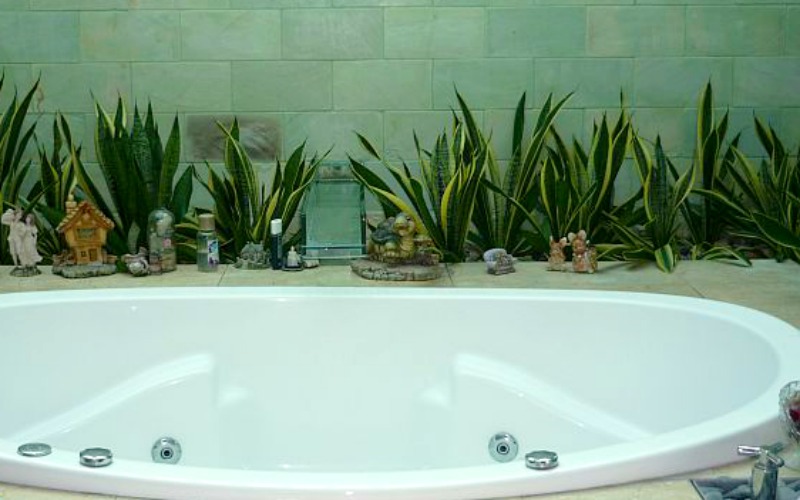 Simple Bathtub Ringed with Aloe