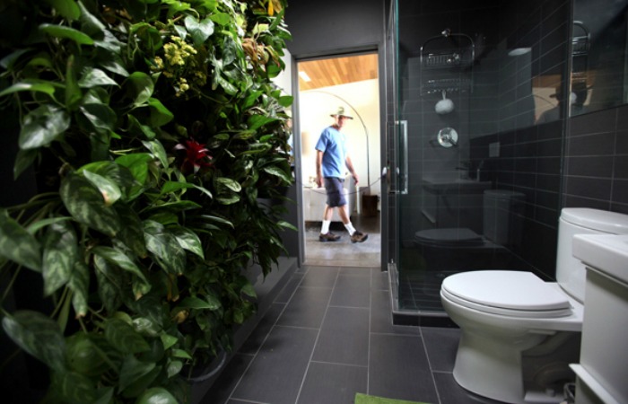 This living wall purifies and cools this bathroom's air