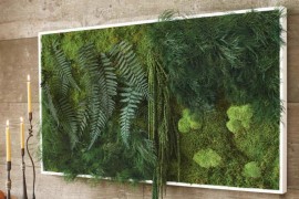 Moss and Fern Living Wall