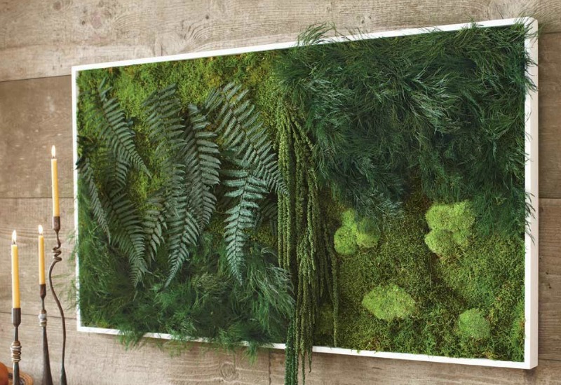 A living wall composed of mosses and ferns