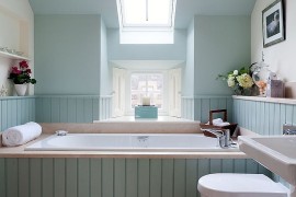Skylight allows you to use color in the small bathroom with ease