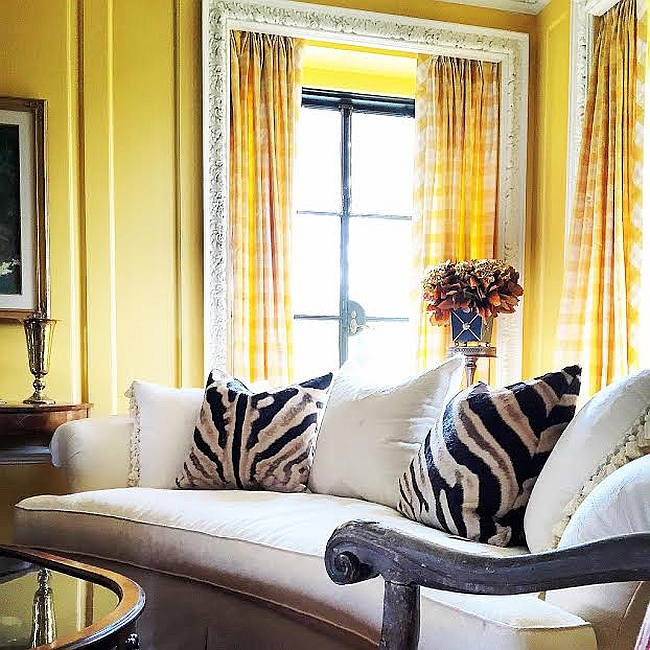 Striped Beauty Stunning Zebra Rugs Pillows From Forsyth