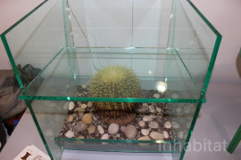 Acrylic Terrarium Chair