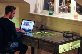 Daniel Zeller's Terrarium Desk