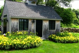 Daylilies Outside Cottage