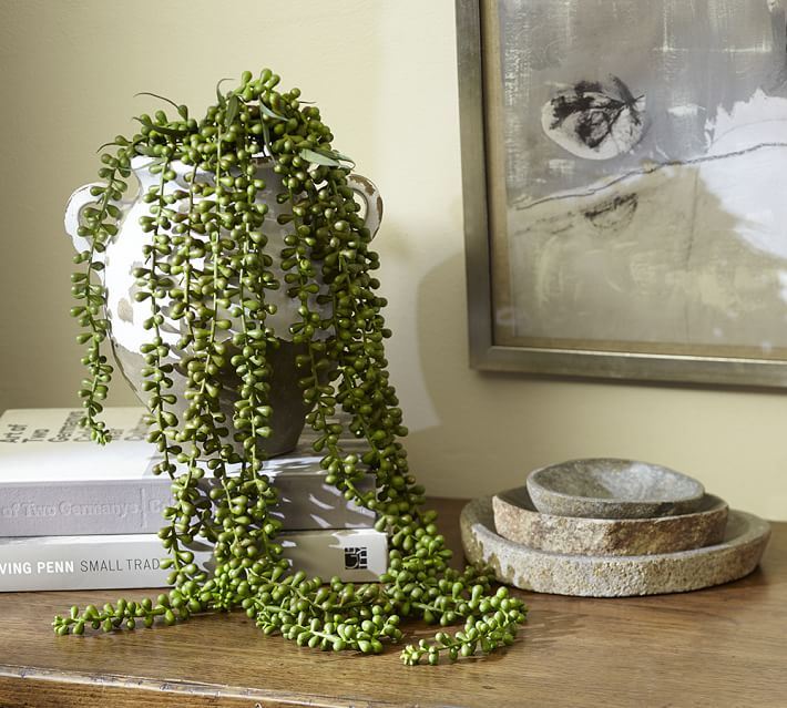 Pottery barn artificial plants information