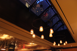 Grape and Vine Restaurant Skylight