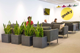 Green Wall at Buzzfeed Offices
