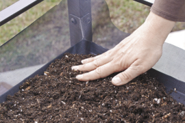 How to Make a Succulent Table