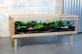 How to Make a Terrarium Table