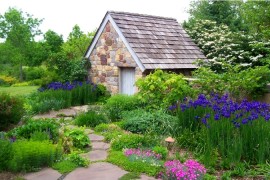 Iris border