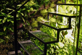 Living Wall and Clear Glass Staircase