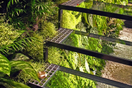 Living Wall and Glass Staircase