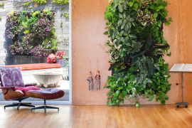 Lovely Vertical Garden on Warm Wooden Wall