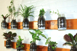 Mason Jar Herb Garden DIY