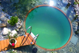 Circular Natural Pool