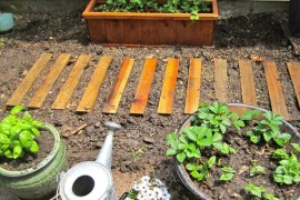 Easy garden path with pallet wood