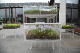 Furnibloom Planted Furniture
