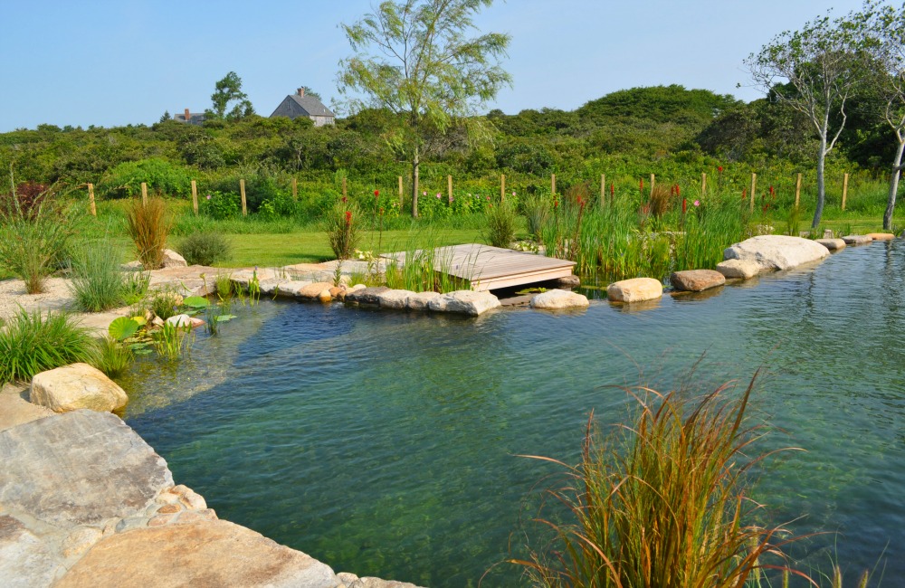  Natural Swimming Pool Designs for Large Space