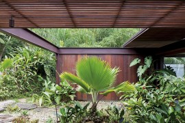 Natural canopy around the stylis Sao Paulo house