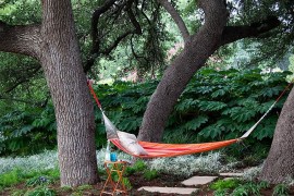 Natural greenery offers ample privacy in this Austin backyard