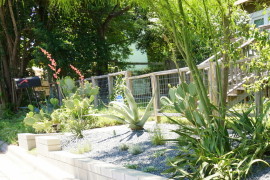 Plants in a variety of heights add interest