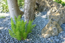 Rock garden landscaping