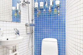 Small blue and white bathroom idea