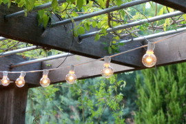 String lights hang from an overhead trellis