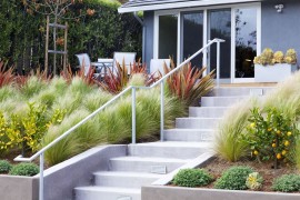 Variety of grasses contained by a concrete retaining wall