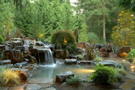 Waterfall Natural Pool