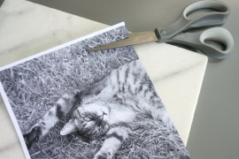 Cut your photo to fit the frame