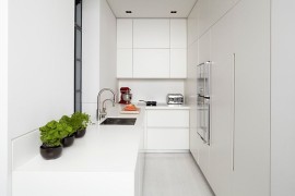 Minimal modern kitchen in white with a potted herbs