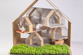 Modern Cat House by HOK