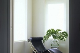 Monstera leaves are the perfect summer accent