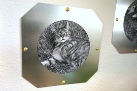 Nail the DIY frames to the wall