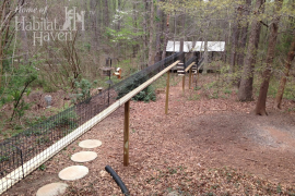 Outdoor enclosed cat walkway in Georgia