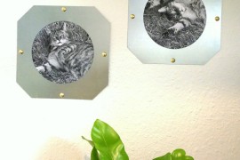 Pet photos in DIY industrial frames