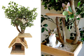 PetTreeHouse for Cats