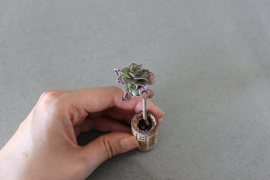 Succulent in a wine cork planter