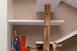 Taiwanese apartment with climbing shelves for cat