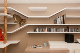 Taiwanese apartment with special cat-friendly climbing shelves