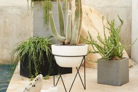 Variety of planters from West Elm