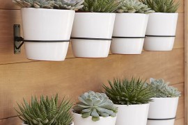 Wall planter hooks from Crate & Barrel