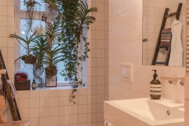 Bathroom in white filled with hanging plants