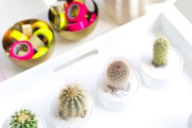 Cactus party favors from Studio DIY
