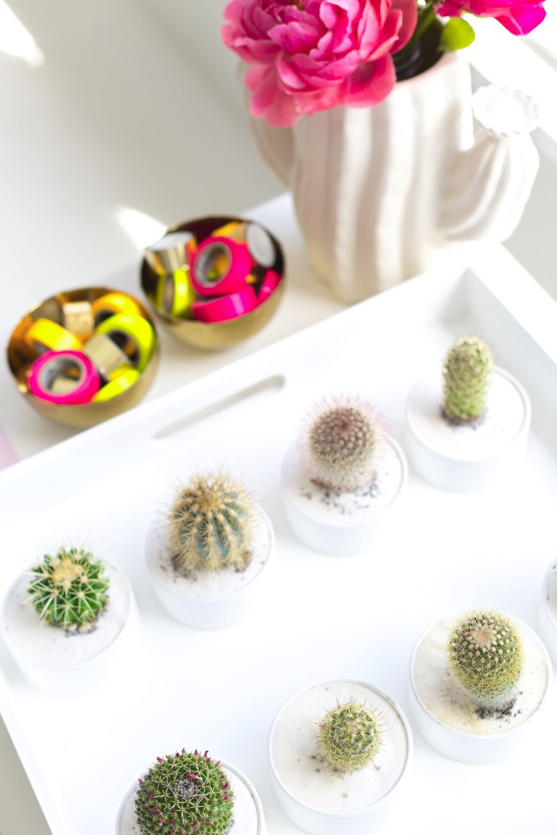 Cactus party favors from Studio DIY