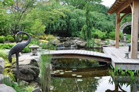 Custom Asian landscape design with waterfall, pond and a bride leading to the pavilion