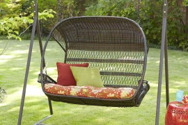 Double Swingasan in Backyard