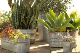 Galvanized containers turned into smart planters